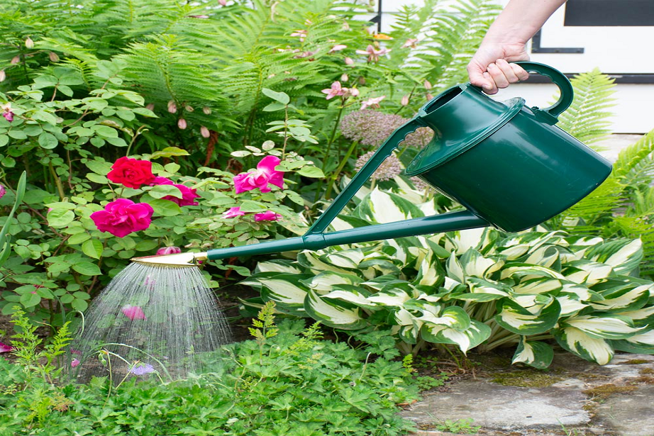 How to water a garden without a hose