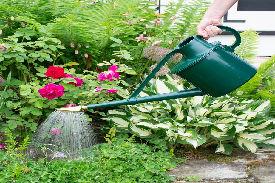 How to water a garden without a hose
