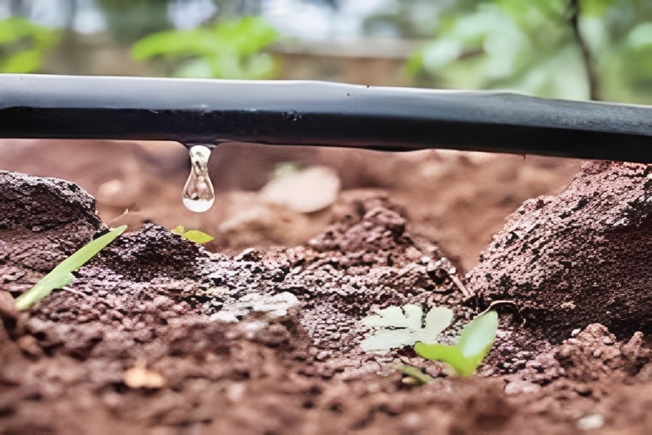 How to water a garden without a hose