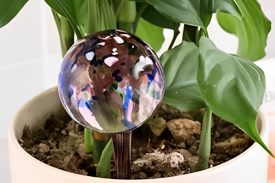 How to water a garden without a hose
