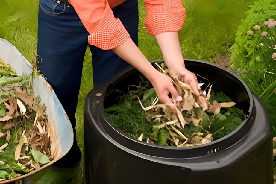 best compost for garden
