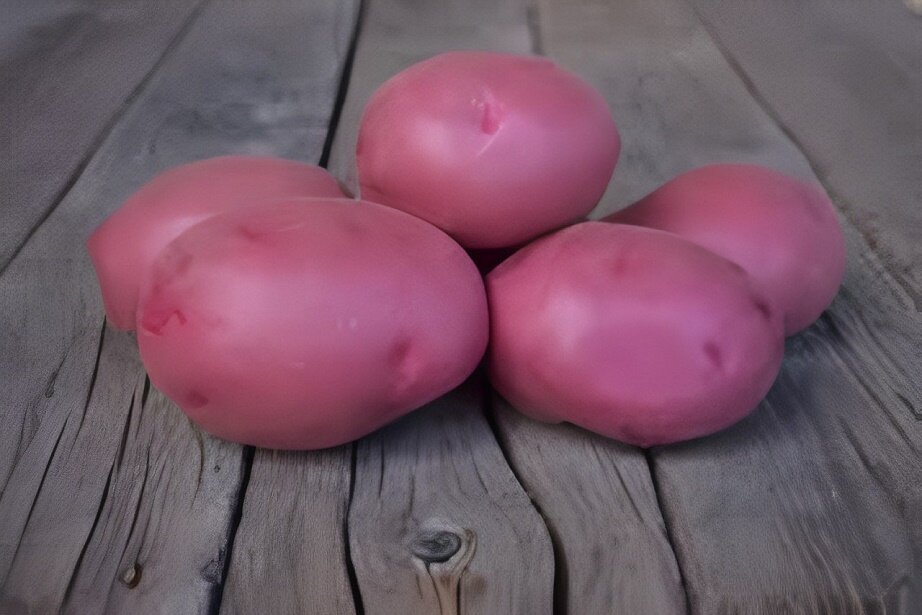 red potato varieties