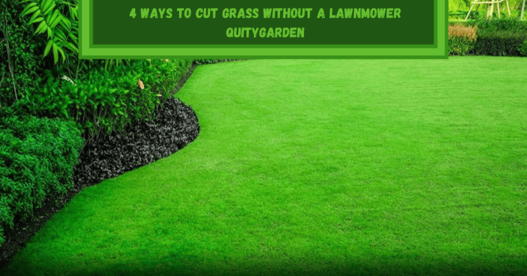 how to cut grass without a lawn mower