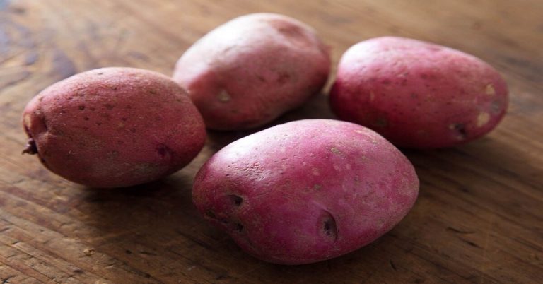 red potato varieties