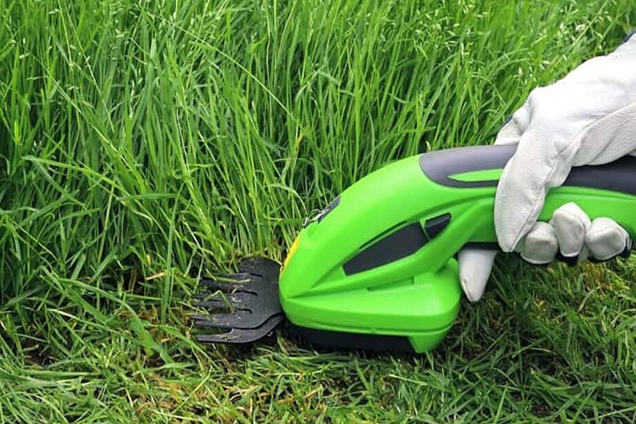 4 Ways To Cut Grass Without a Lawnmower QuityGarden