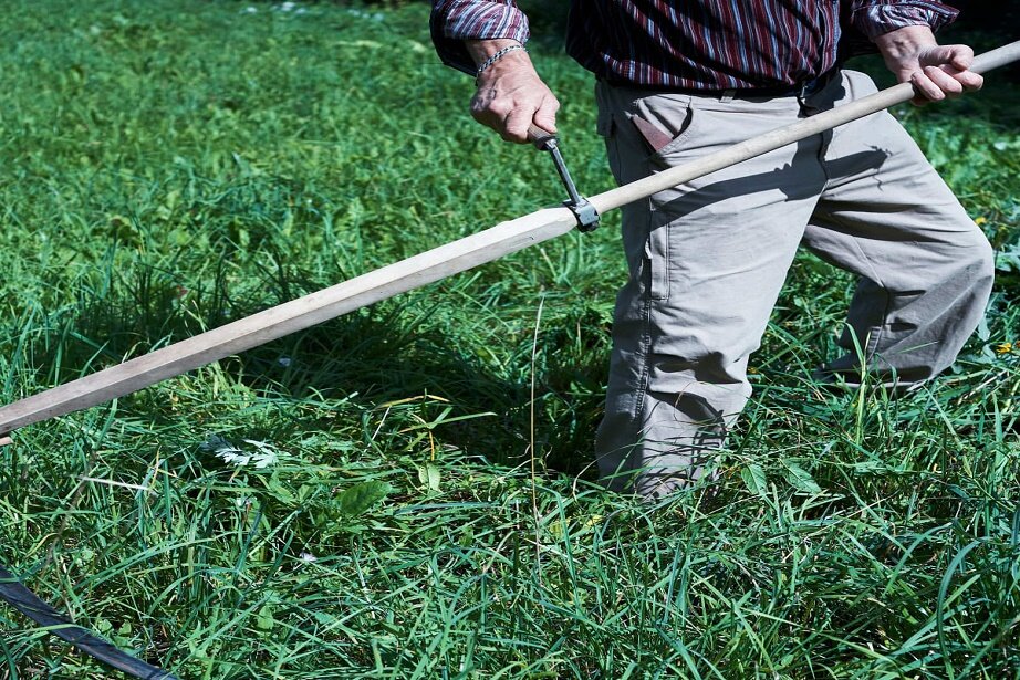 how to cut grass without a lawn mower