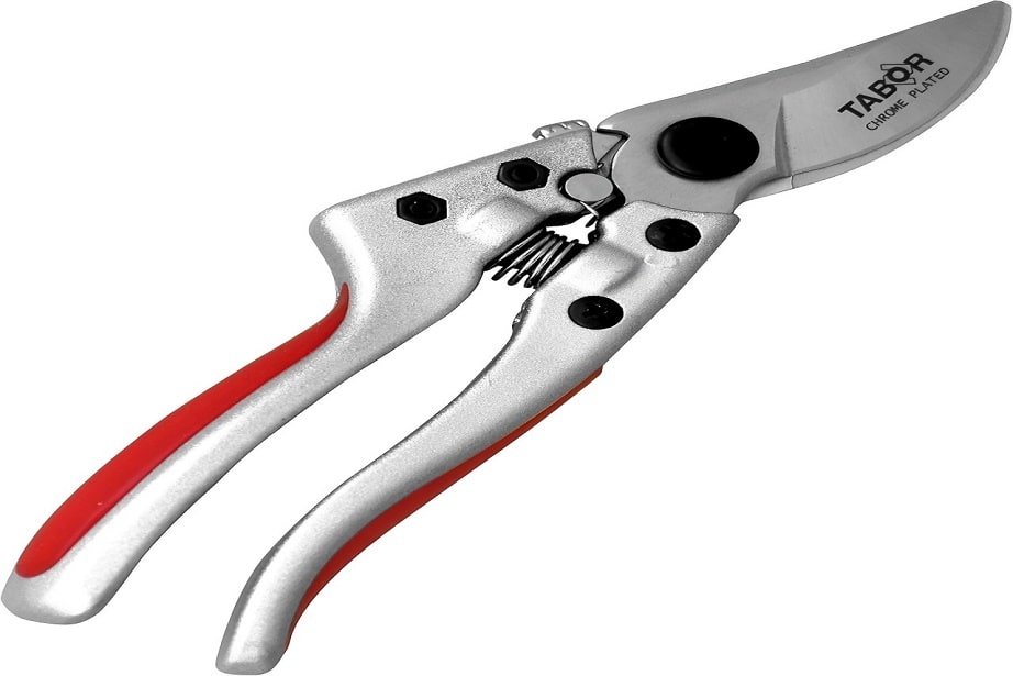 hand pruner
