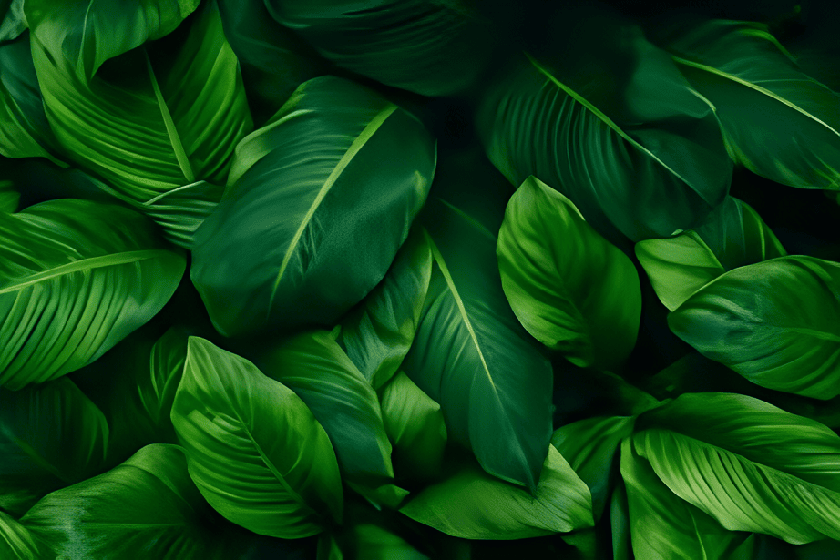 green-plants